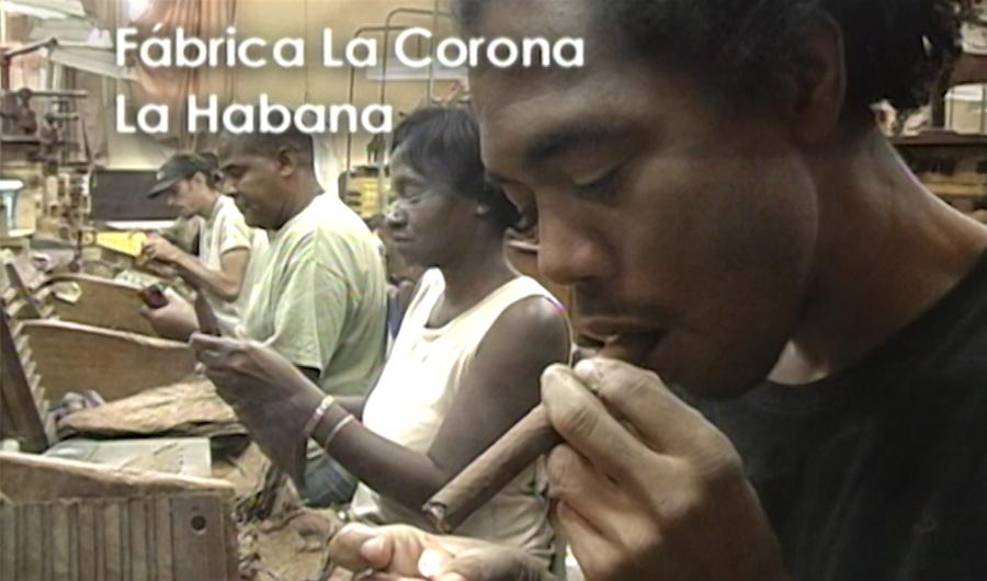 Workers in a cigar making factory