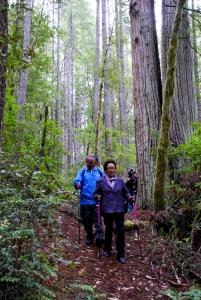 Promotional still. Nobuo Fujita's daughter hikes in Oregon woods.