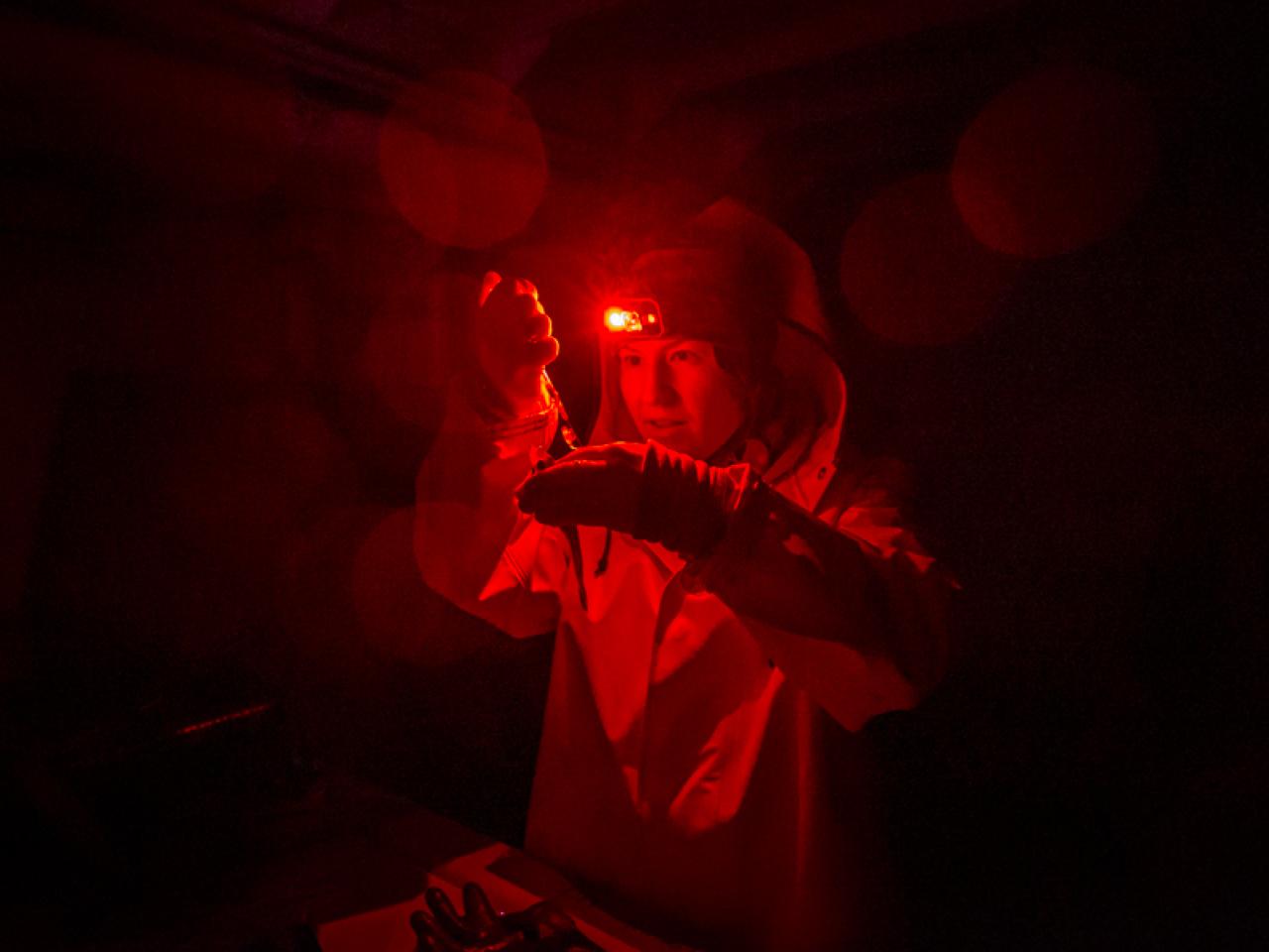 A still from the film Into the Dark. A person is in the dark with just a red light on their head. They're intently looking at something.